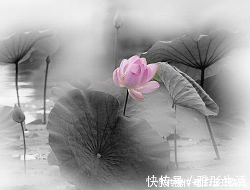 人生在世|佛教最经典的24句话,修身养性,不看是你的损失!