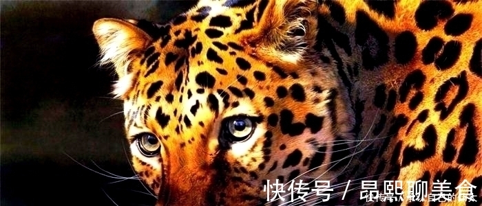 冬有雪|入定坐忘40年,惟则禅师一句话开示樵夫,阐释了禅修要诀