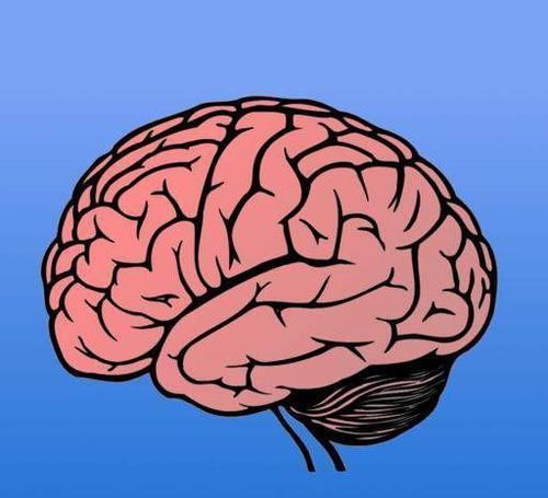 世界|死亡是意识创造的幻觉哲学家提出骇人设想,现实世界非真实存在