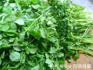 便秘|自己治疗痔疮的方法?学会这5个小妙招,彻底解放你的小菊花