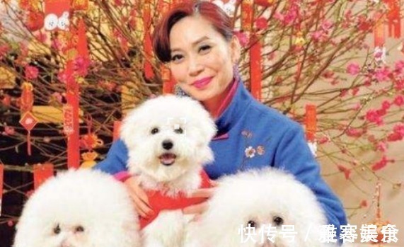 一线城市|还记得那位一口气买了10套房,月供百万差点破产的女孩吗她现状