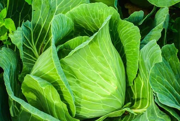 女性|多吃这3种蔬菜,让女性皮肤红润光泽,大部分人还不知道,早吃早受益