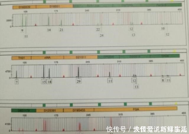真相|女子做亲子鉴定，结果是亲爸不是“亲妈”，二胎暴露事情真相