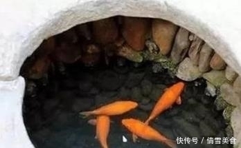 地下水|同样都是鱼，河鱼和海鱼都可以吃，为啥井鱼不可以吃大有学问