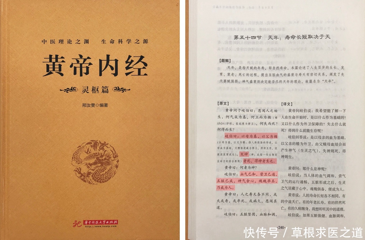 心神|中医心理学——上工守神破译疾病成因