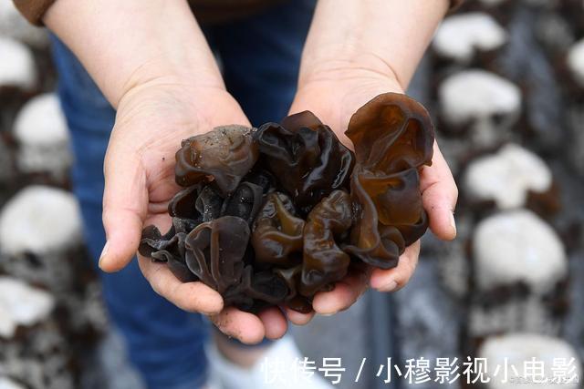 暗号|脑梗发生前7到30天,身体会发出很多“暗号”,提前了解不吃亏