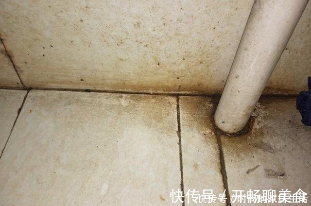 美缝剂|瓷砖要不要做美缝相信大家看完就知道如何选择！
