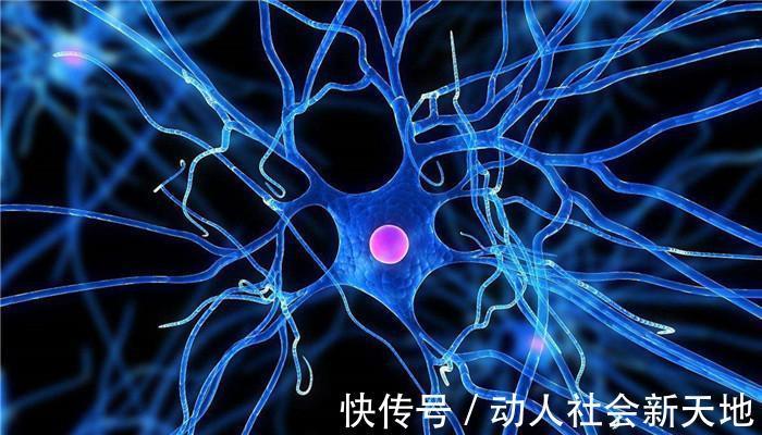 老人|70到80岁是长命与否的关键期,做好这5点,老人想不长寿都难!