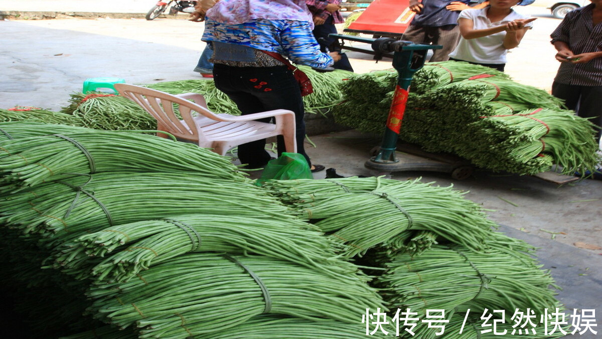 豇豆|豇豆吃不完，不要直接放冰箱，不仅久放不坏，还又香又好吃！