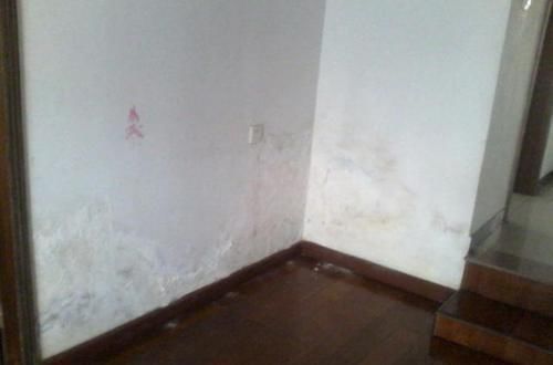 发霉|墙皮发霉脱落怎么办?装修师傅分享一妙招,让你轻松解决