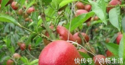 含有|女性担心老得快,3种食物别放过,补充营养,延缓衰老,肌肤红润