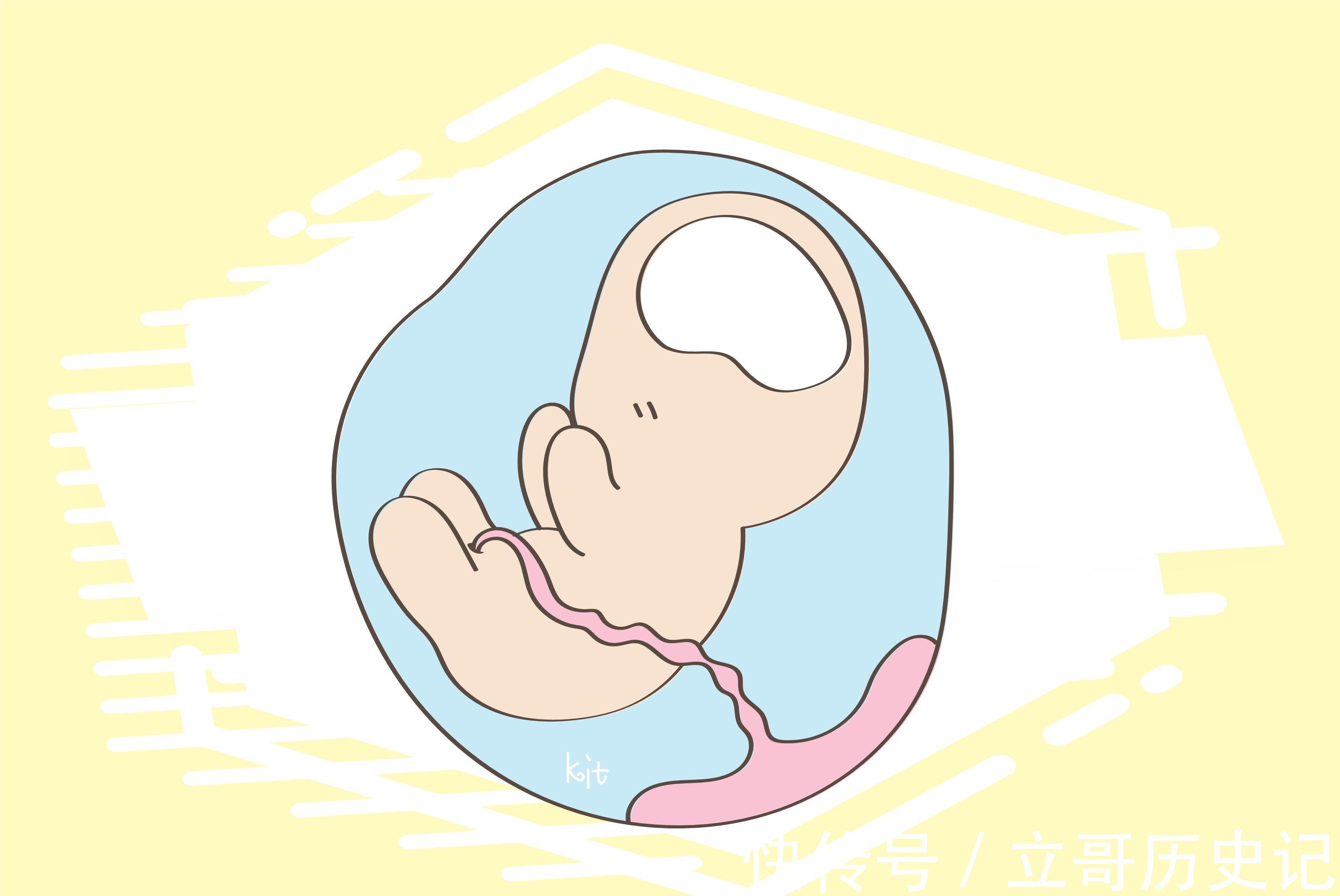 发育|宝宝聪明与否,跟孕期饮食有关,这样吃才有效