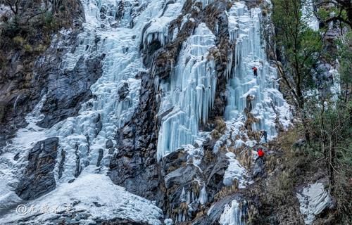 界河|卧龙关冰瀑，号称完爆虎牙，只因这里生活着大熊猫和雪豹吗