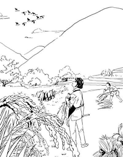 大米#当代散文｜|这才是稻虾的味道