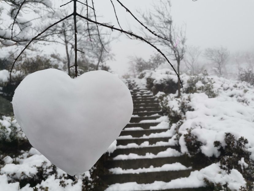 赏雪|山上下雪山下降雨 金峨山赏雪正当时