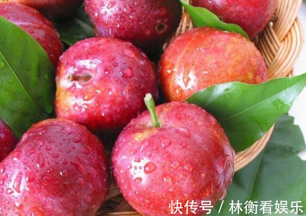 村民|村民种植一种李子,可以益气养阴生津,市场上很受喜欢