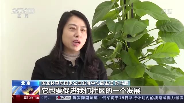 国家公园|保护30%全国陆域野生动植物种类！首批国家公园生态保护取得新进展