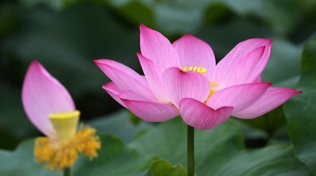 现实|这就是社会,这几句话说得太绝了,这就是现实