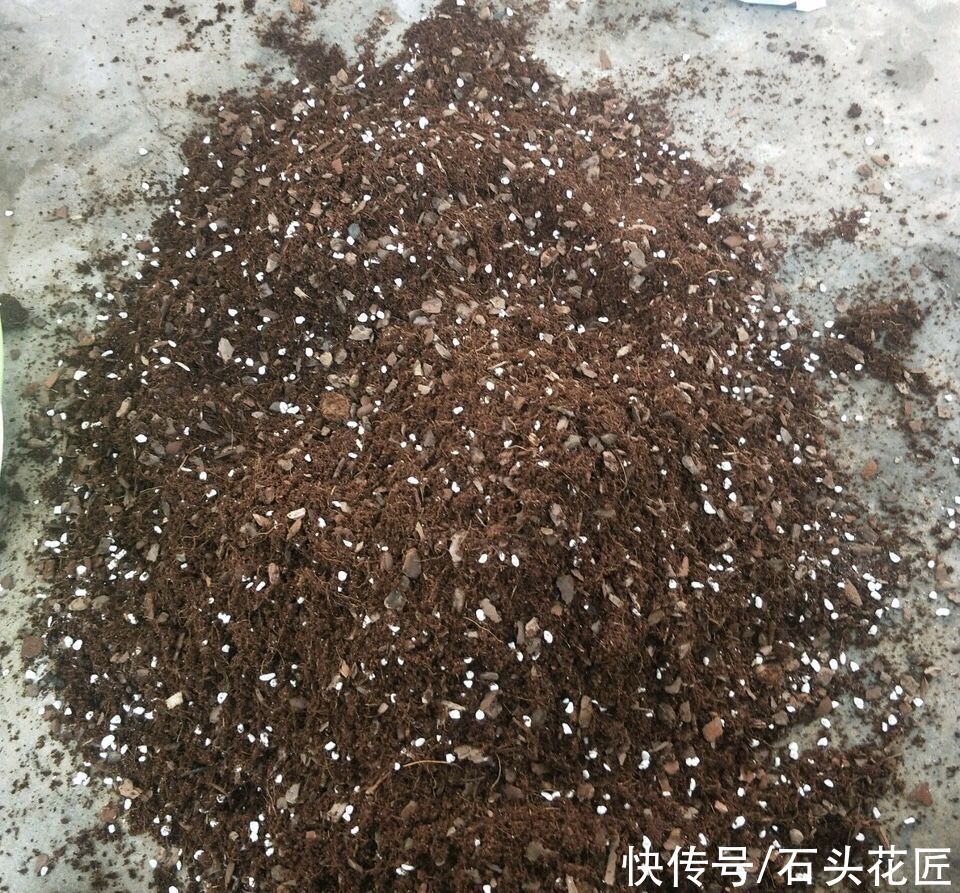 板结|养花土变成“大土块”？这都是你自己造成的，这里有解决办法