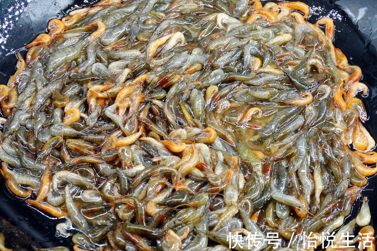 个头|夏天遇到此虾别手软,个头小营养高,钙是鸡蛋的10倍,多给孩子吃