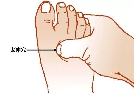 三阴交|各种病都能找到对应的穴位,1穴搞定1病症快快分享给朋友