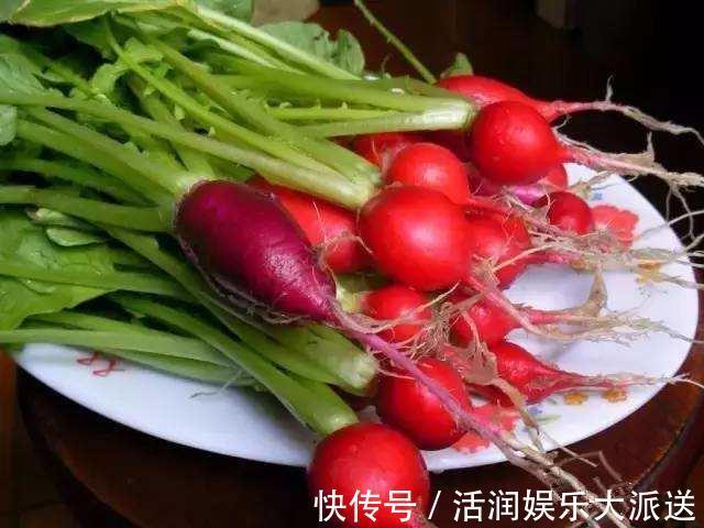 阳台|婆婆在阳台种“高钙菜”，15天摘“1篮子”，口感爽脆能“减肥