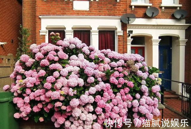 这9种花园，随便1个都美上天了，有一种这辈子就满足了！