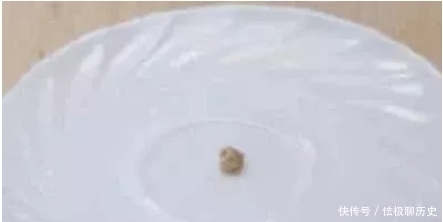 饺子|吉尼斯之最:世界上最小的饺子,仅0.016克,确定够塞牙缝?