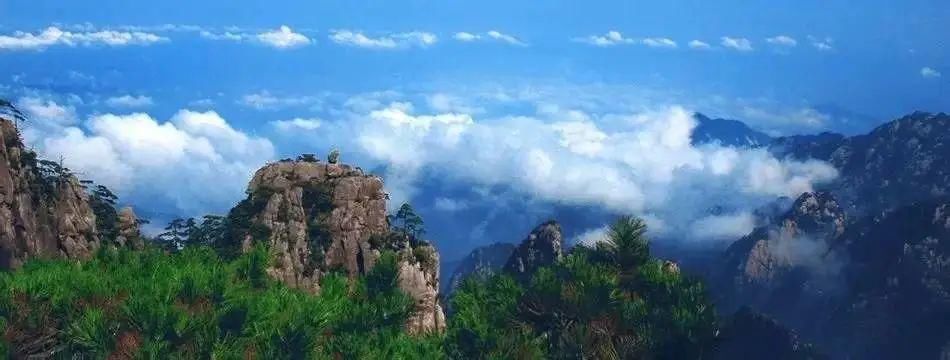 学习|盘点小升初语文常考的古诗词题型,小学古诗词学习重点是这个!