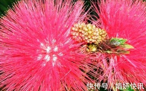 福气@俗话说好事做尽，福气到头，别做4件事好事，不然财福会被抢走