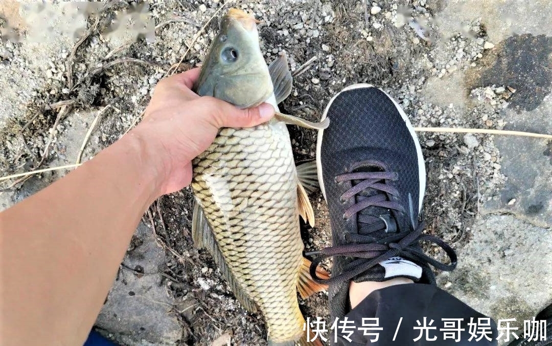 带钩调漂与不带钩调漂有何区别?哪种调钓更适合野钓?