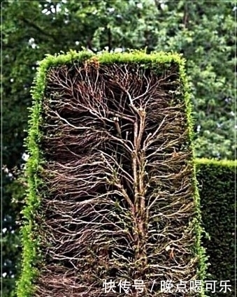 画面|18张令人惊叹的画面,可以让你重新认知这个世界,看后难忘!