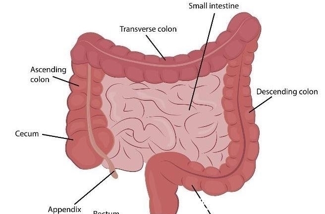 大便|经常腹泻大便不成形,仅和肠胃有关吗?也可能是出现了4个问题