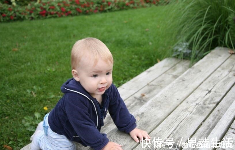 协调感|宝宝学走路,这三个误区“害娃不浅”,很多父母经常做