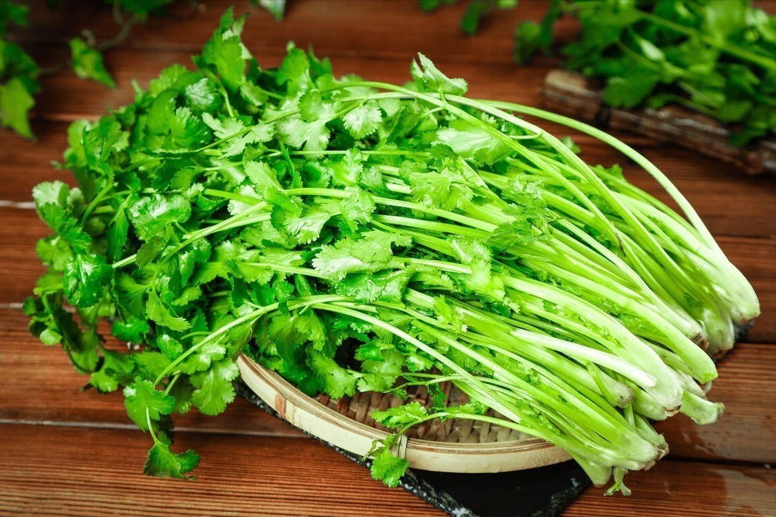 立秋|香菜吃不完,老农教你这样保存,放一年都不坏,颜色翠绿味道新鲜