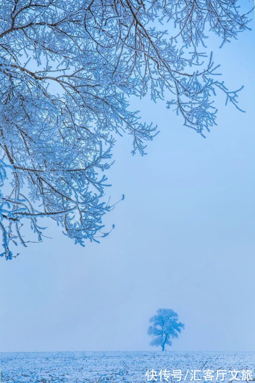 哈尔滨|这才是跟冬天最配的自驾线，沿途雪景美成童话，错过再等一年