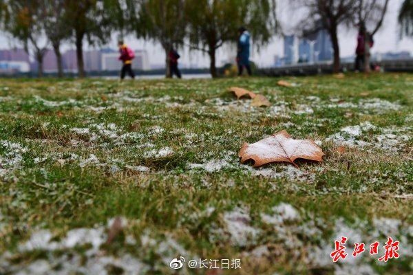 早上|早上的积雪你看到了吗？｜图集