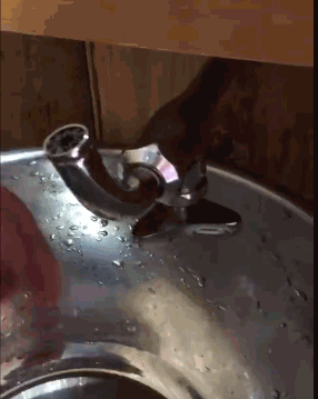 |搞笑GIF:哈哈,妹子你确定是在做俯卧撑吗?