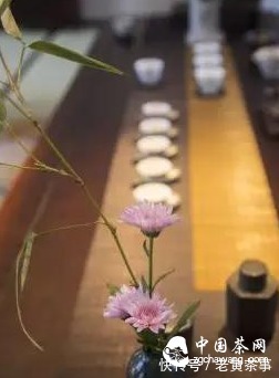 头道|茶圈里的五大谣言,你中枪了多少?