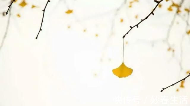 屈原@写尽岁月沧桑,令心灵战栗的古典名句