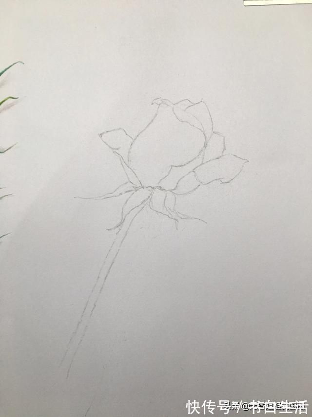 毛笔!手绘逼真的玫瑰花,只要四步就能学会,快来看看吧