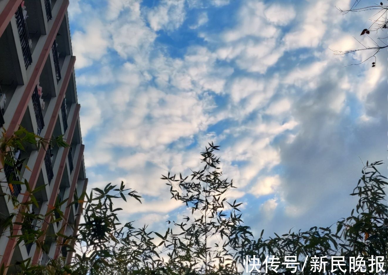 芜湖职业技术学院|2022年的第一天，我们把长三角41座城市的太阳看了个遍