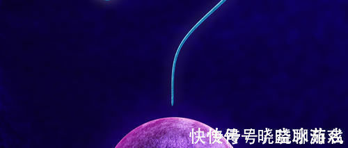 卵子|35岁女子做试管婴儿之前,是这样养卵的,值得一看!