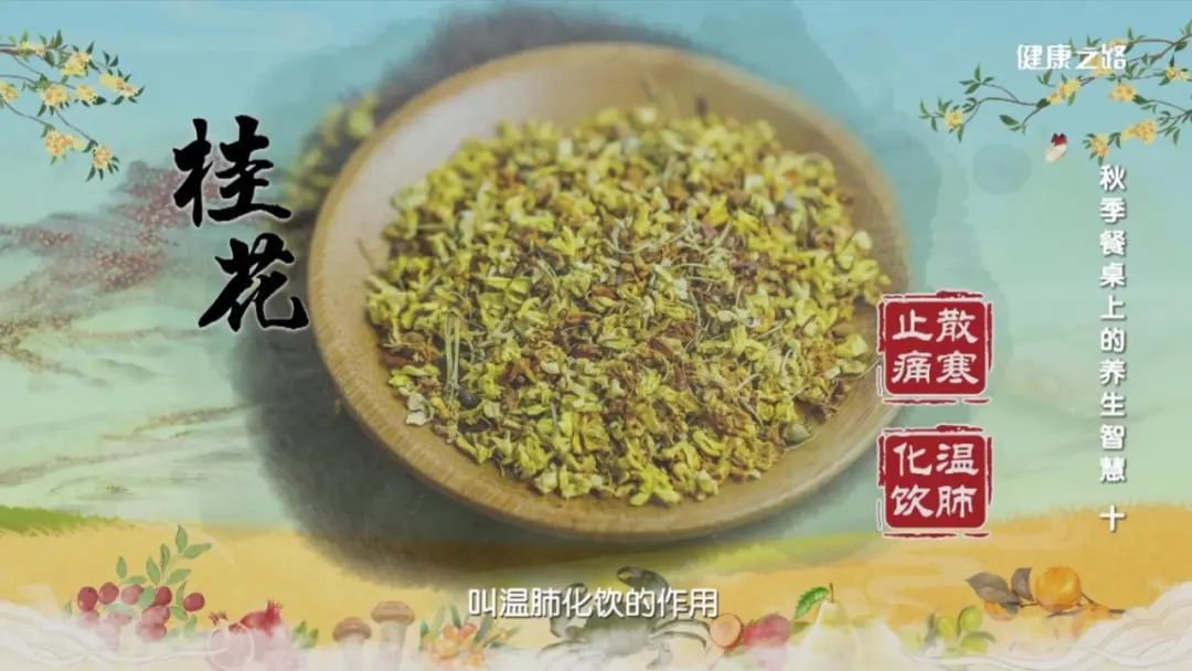 洛神花|好看、好吃还能养生的这些秋花，简直是“宝藏”！