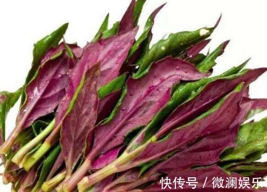 食物|人到中年想长寿，不妨多吃3种食物，营养丰富，早吃早好