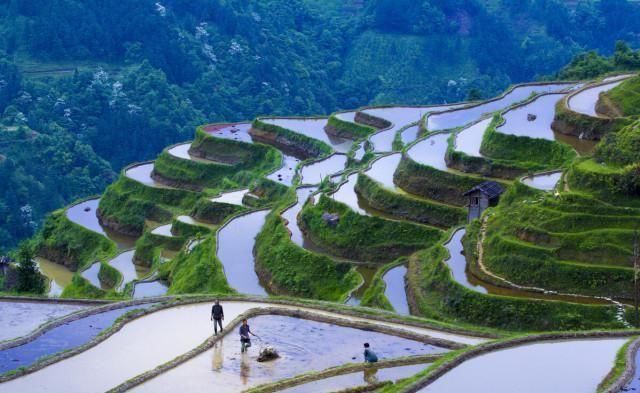 唯一没有平原的省，县县通高速，如今成为了山地旅游大省