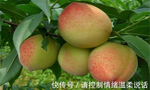 营养|秋天来了,每天吃3种食物,营养丰富,延缓衰老,补充维生素