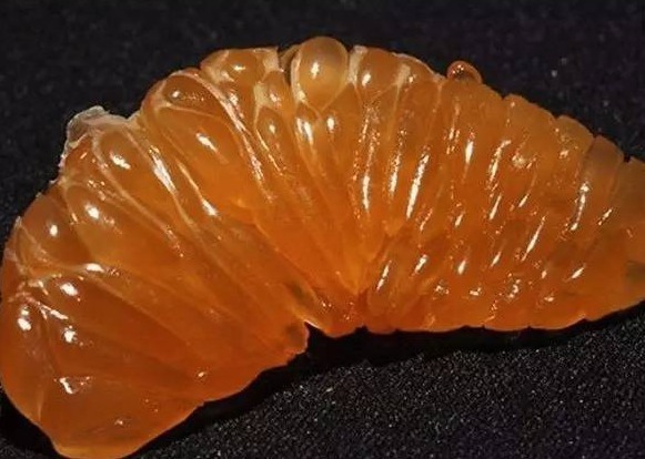 樱桃|有孕期间,有些水果孕妈要舍得吃,能改善贫血,对胎儿皮肤也有益