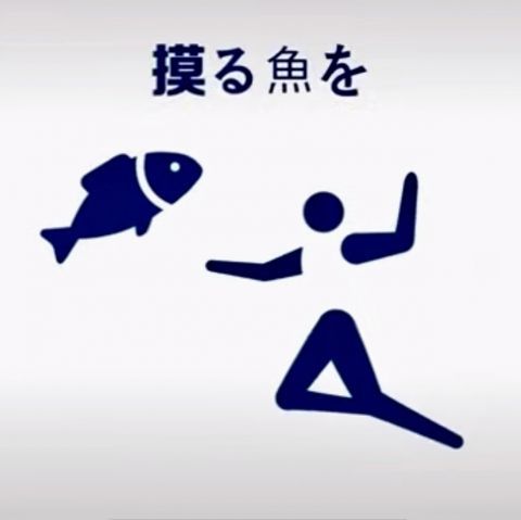 超级变变变|豆瓣9.7！日本超强沙雕节目，五毛钱特效笑到头掉哈哈哈哈