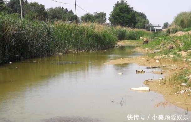 尾巴|农村小河沟中钓起一条这样的鱼, 我赶紧收杆离开这一水域